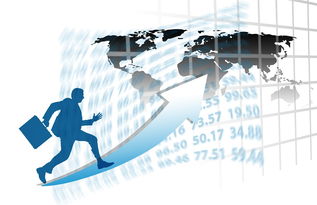 乐鱼中文网站-中国篮球职业俱乐部财务管理与运营效益分析，篮球俱乐部收入