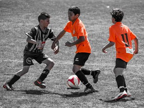 乐鱼在线登录-中国足球场上移动方向数据建模，足球场上的数学建模