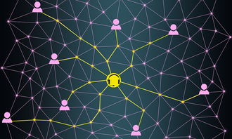 乐鱼官网-体育赛事数据分析与决策支持系统，体育赛事现状分析