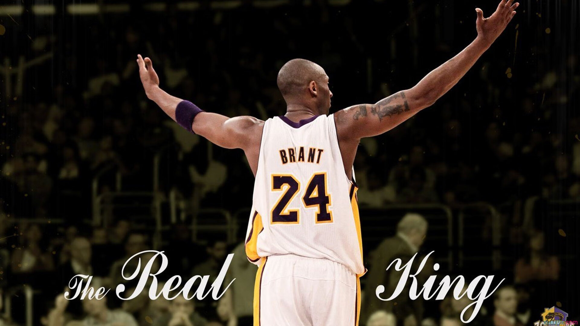 两队风格迥异，对抗看点十足，两名对抗的队员