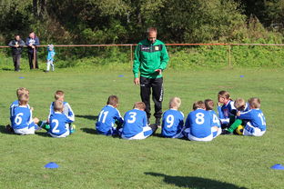 中国篮球教练员技术战术创新能力提升路径，篮球教练发展